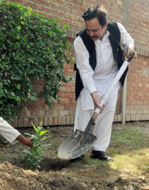 Independence Day Celebrations and Tree Plantation Drive 2018