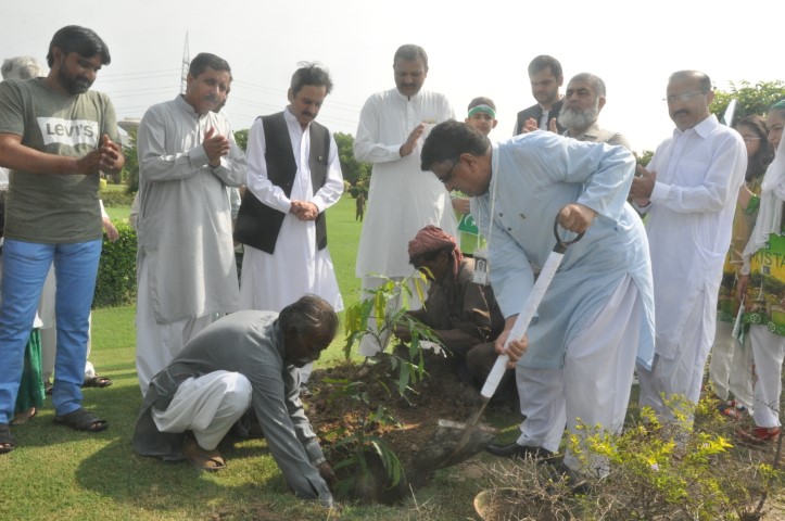 Independence Day Celebrations and Tree Plantation Drive 2018