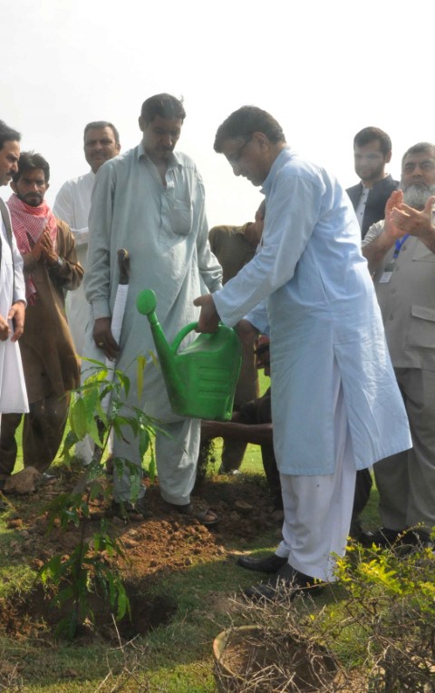 Independence Day Celebrations and Tree Plantation Drive 2018