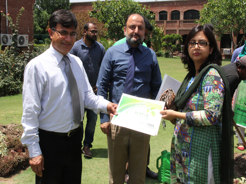 Tree Plantation Campaign