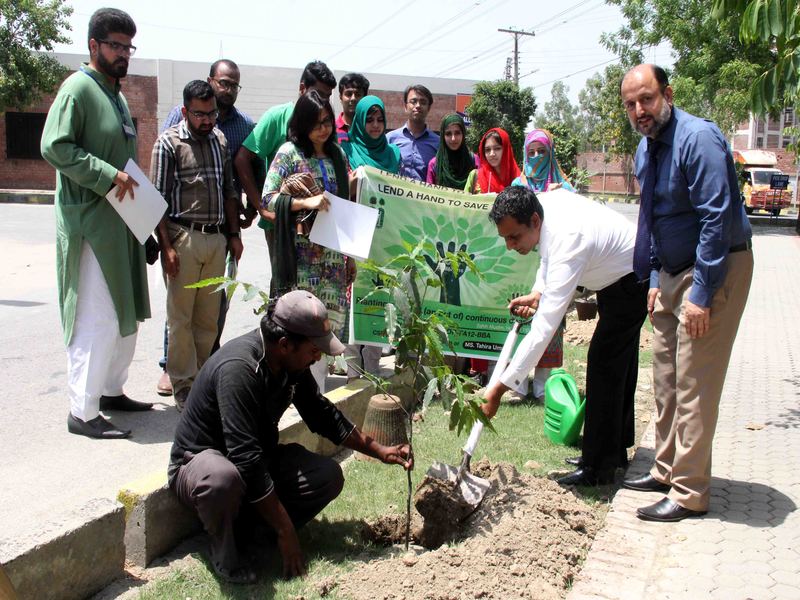 Tree Plantation Campaign