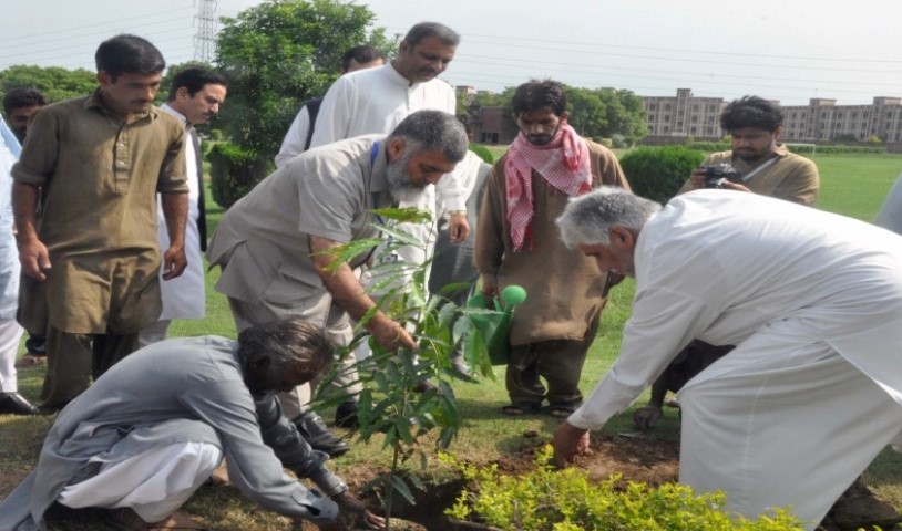 Tree Plantation Drive 2018