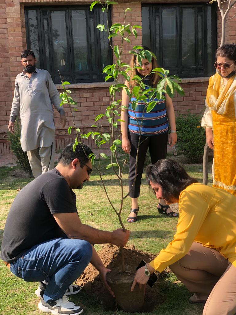 Spring and Jashn-e-Nowruz with Plantation Day