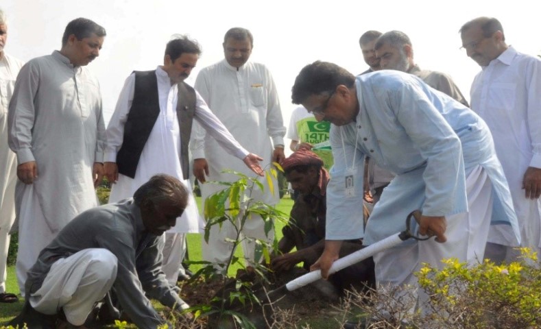 Tree Plantation Drive 2018