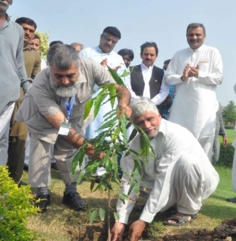 Tree Plantation Drive 2018