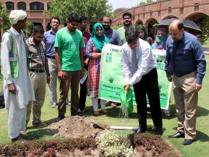 Tree Plantation Campaign