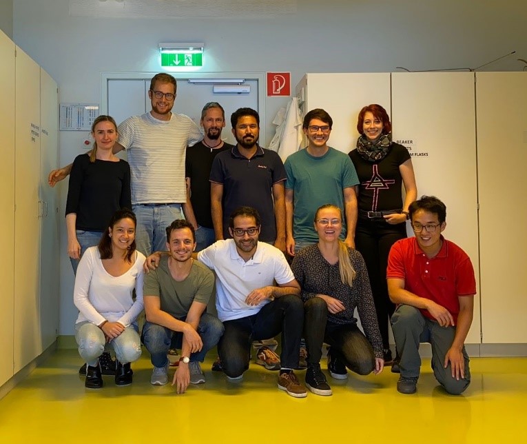 Foreign funded Postdoctoral research visit at University of Innsbruck, Austria