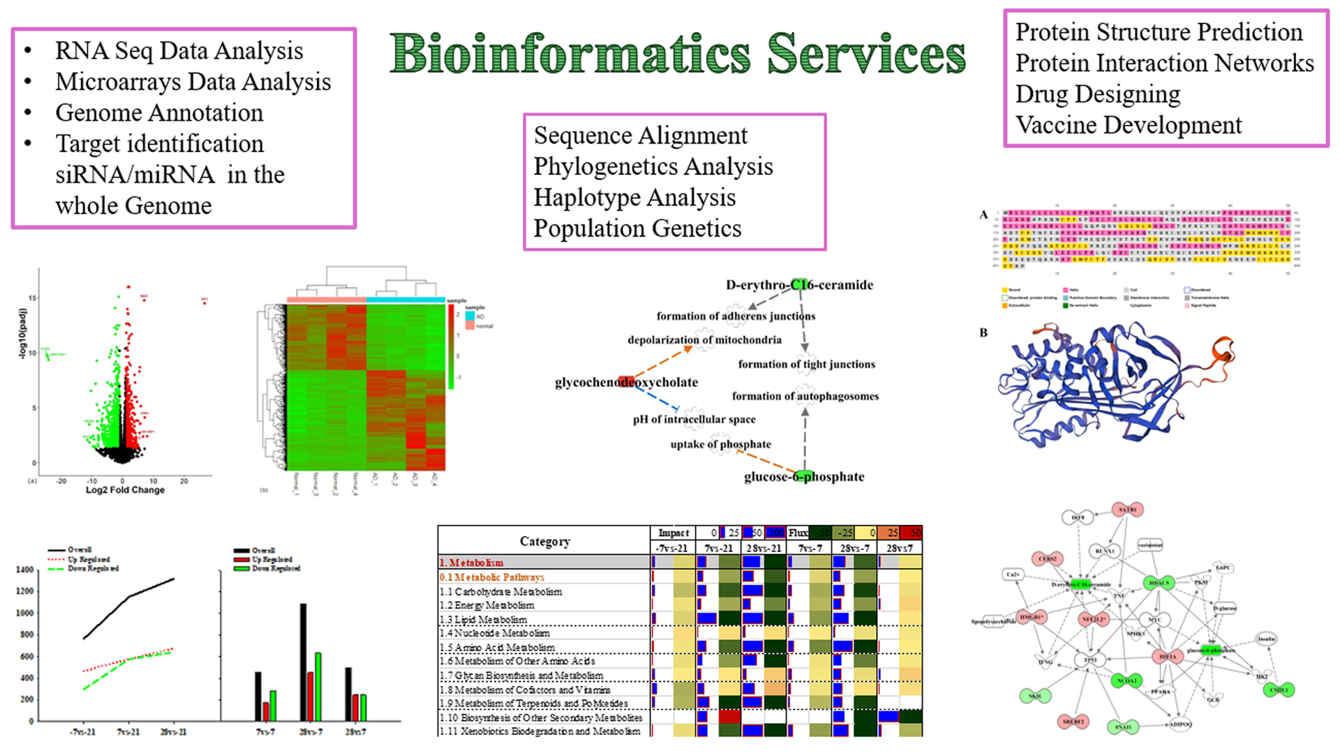 Bioinformatics & Machine Learning