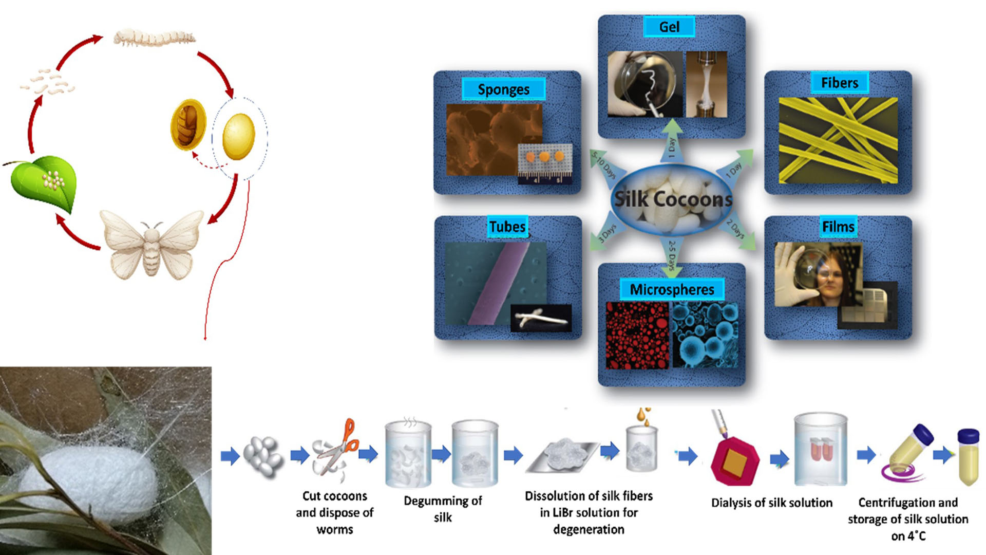 Functional Biomaterials