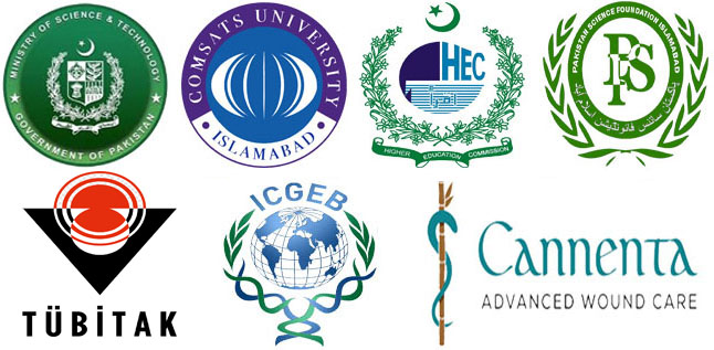 Research Fundings