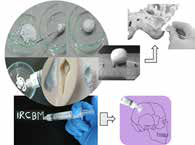 SustainHeal-Mend Putty